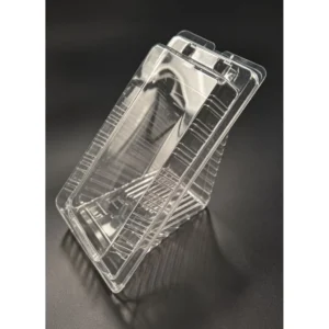 GK 1 Clear Sandwich Container
