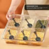 3600ML 6 Compartment Spice Storage Box L20.8cm W15.7cm H6.3cm